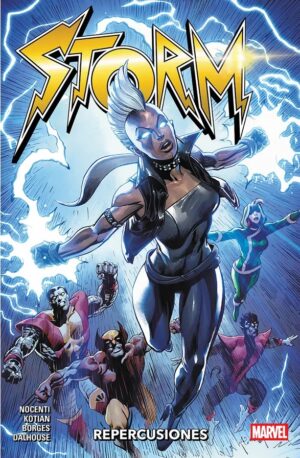 STORM: REPERCUSIONES